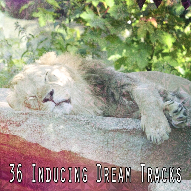 Couverture de 36 Inducing Dream Tracks