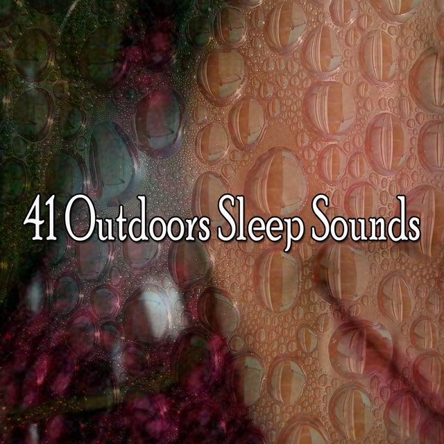 Couverture de 41 Outdoors Sleep Sounds