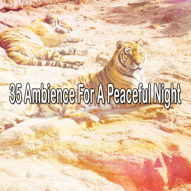 35 Ambience For A Peaceful Night