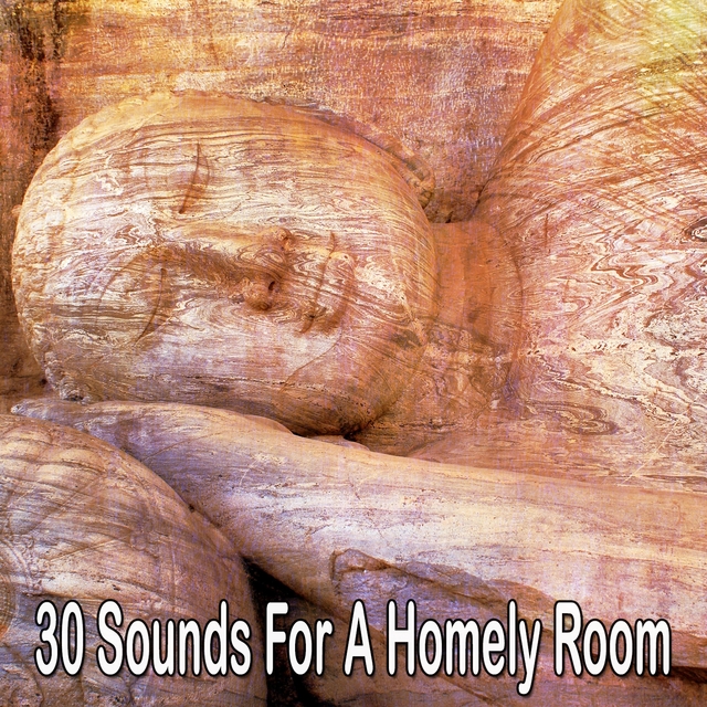 Couverture de 30 Sounds For A Homely Room