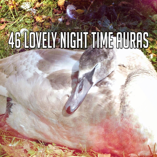46 Lovely Night Time Auras