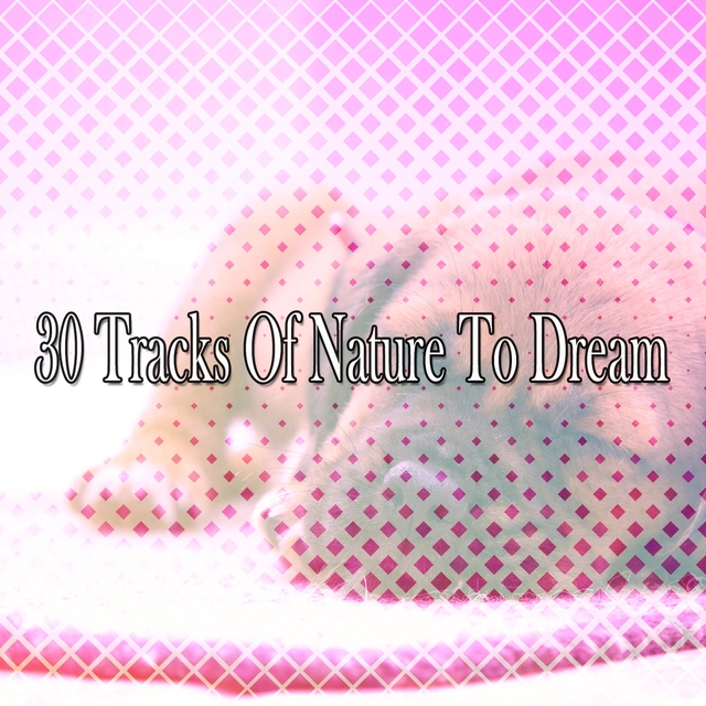 Couverture de 30 Tracks Of Nature To Dream