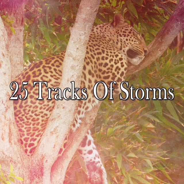 25 Tracks Of Storms