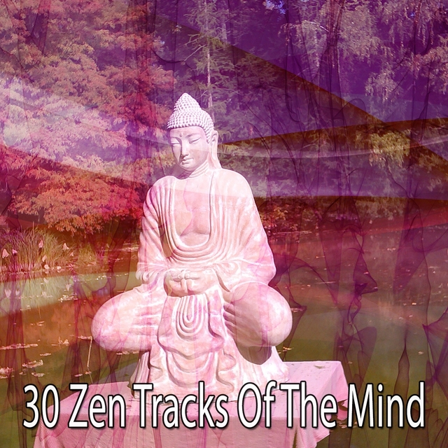 30 Zen Tracks Of The Mind