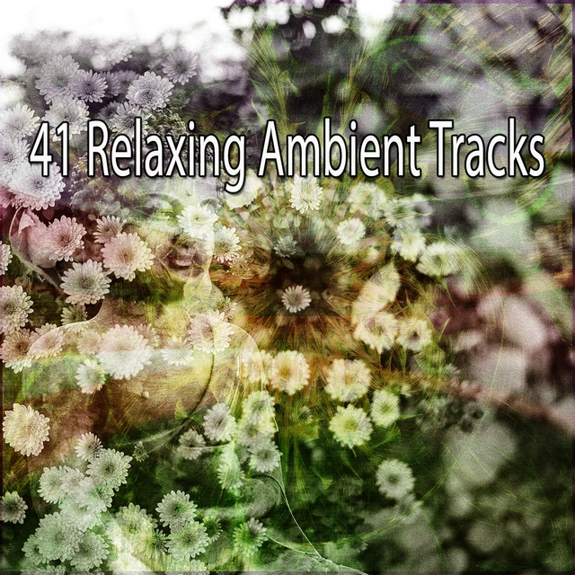 Couverture de 41 Relaxing Ambient Tracks