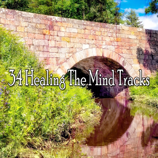 Couverture de 34 Healing The Mind Tracks