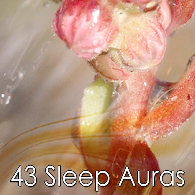 43 Sleep Auras