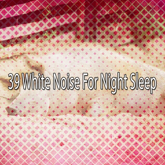 Couverture de 39 White Noise For Night Sleep