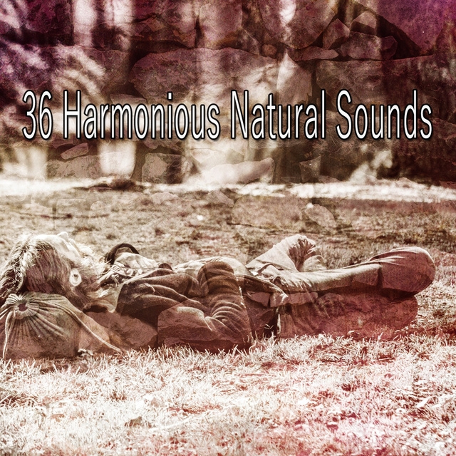 Couverture de 36 Harmonious Natural Sounds