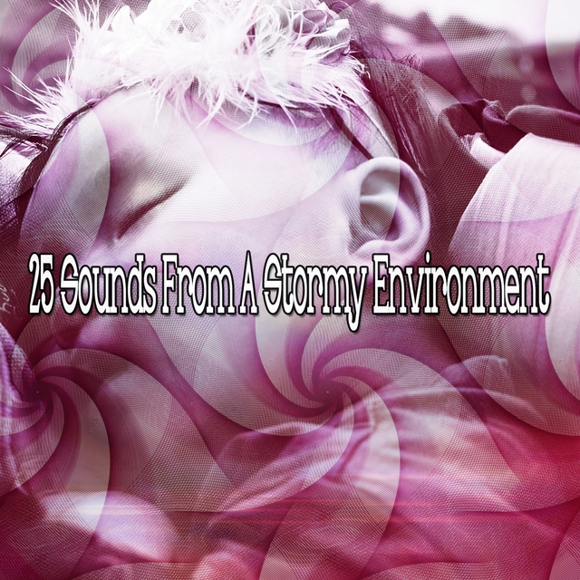 Couverture de 25 Sounds From A Stormy Environment