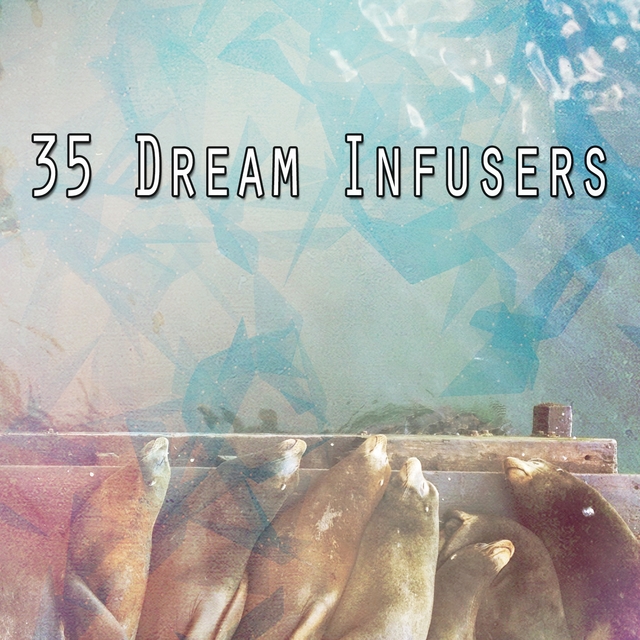 35 Dream Infusers