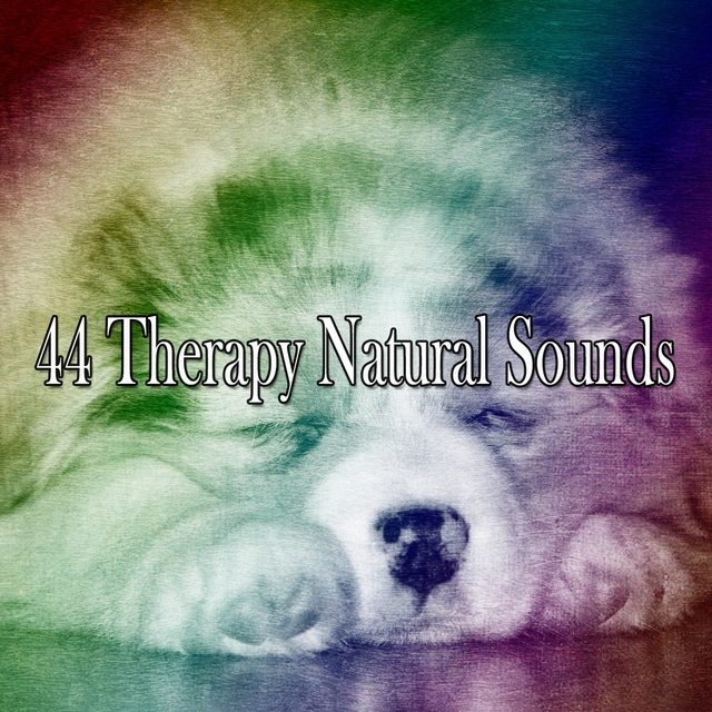 44 Therapy Natural Sounds