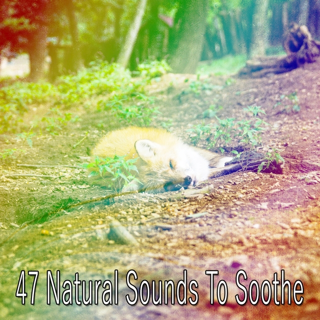 Couverture de 47 Natural Sounds To Soothe