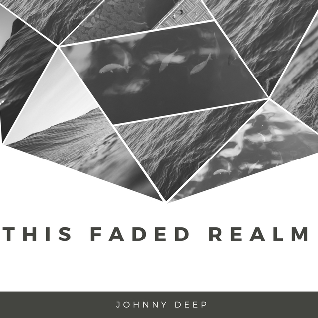 Couverture de This Faded Realm