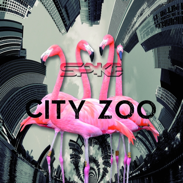 Couverture de City Zoo