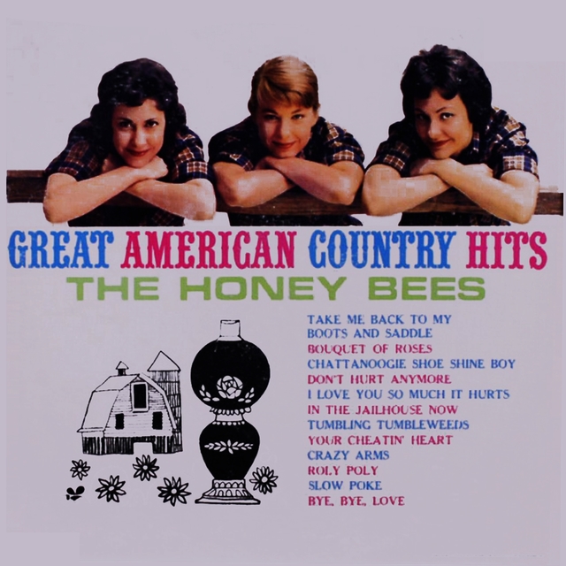 Couverture de Great American Country Hits