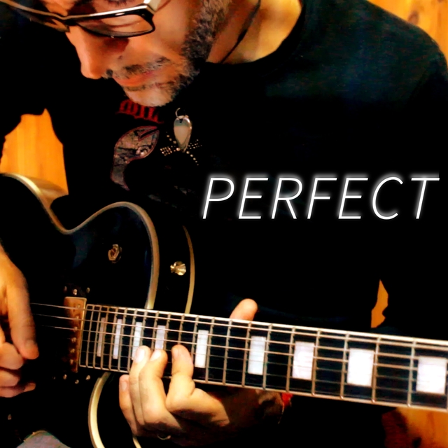 Couverture de Perfect