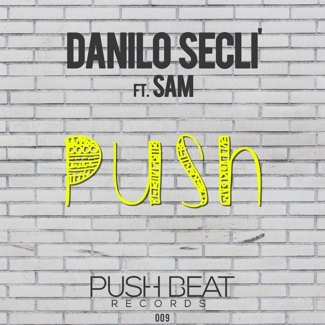 Couverture de Push