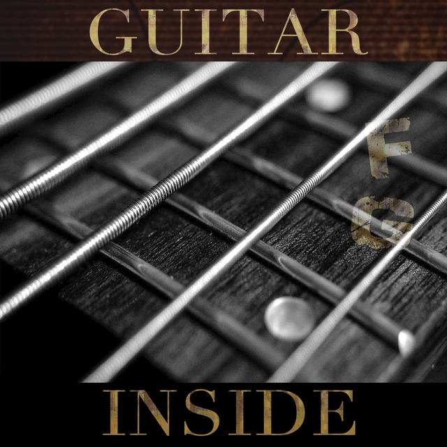 Couverture de Guitar Inside