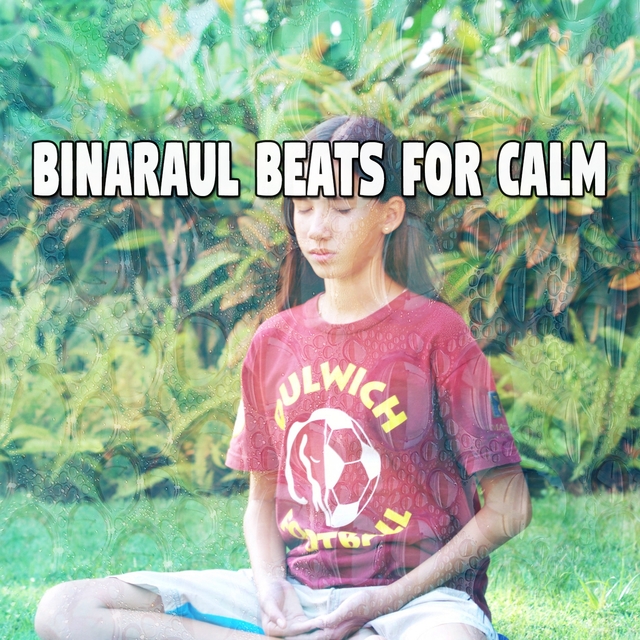 Couverture de Binaraul Beats For Calm