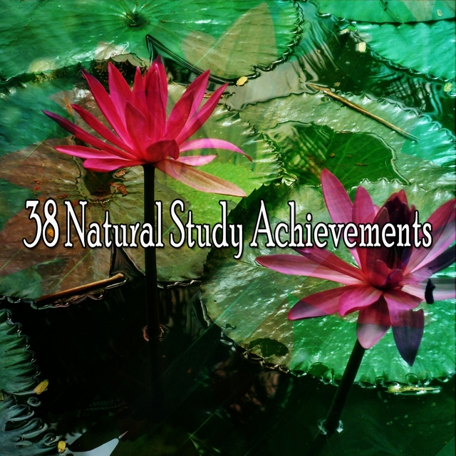 38 Natural Study Achievements