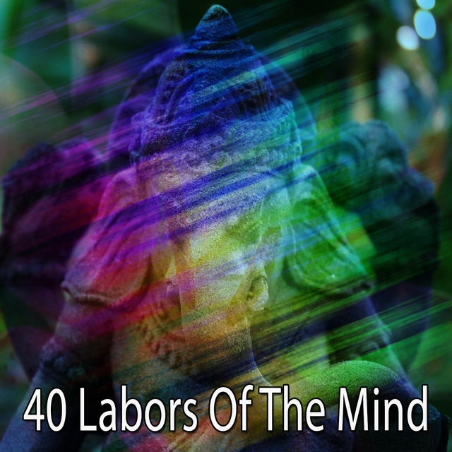 Couverture de 40 Labors Of The Mind