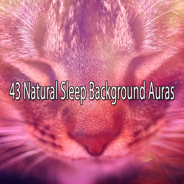 Couverture de 43 Natural Sleep Background Auras