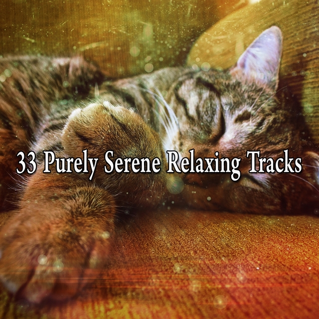 Couverture de 33 Purely Serene Relaxing Tracks