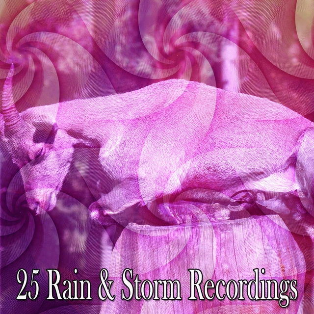 Couverture de 25 Rain & Storm Recordings