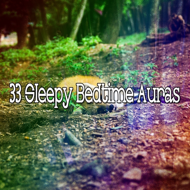 Couverture de 33 Sleepy Bedtime Auras