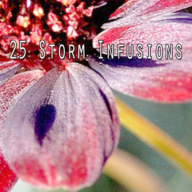 Couverture de 25 Storm Infusions