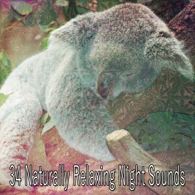 34 Naturally Relaxing Night Sounds