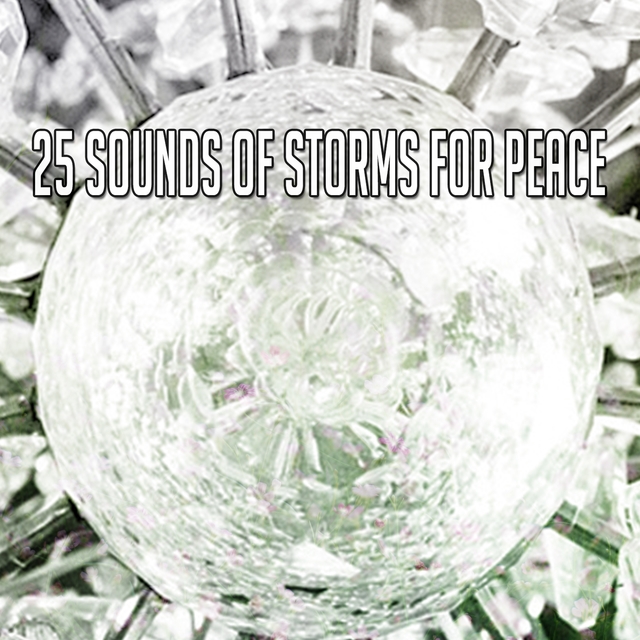 Couverture de 25 Sounds Of Storms For Peace