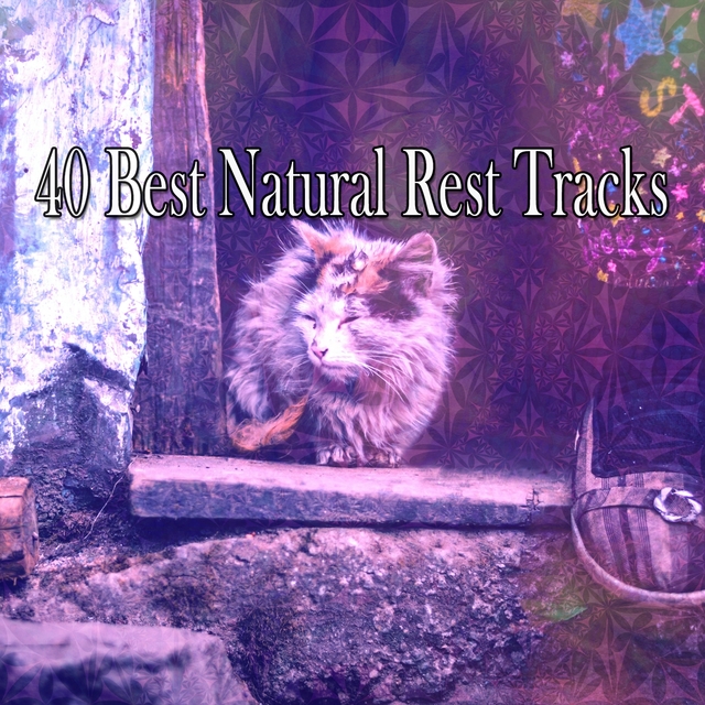 Couverture de 40 Best Natural Rest Tracks