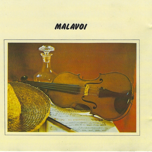 Couverture de Malavoi