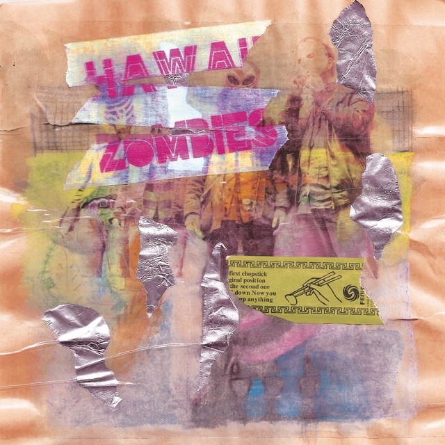 Couverture de Hawaii Zombies