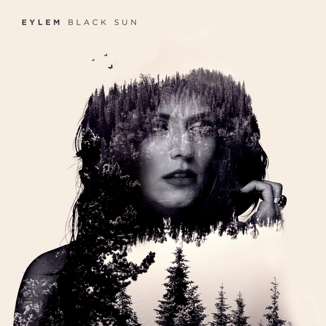 Black Sun