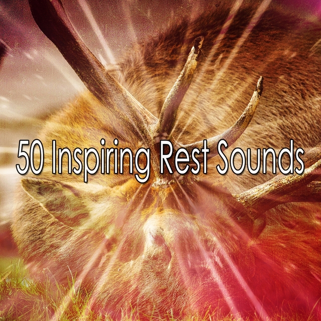 50 Inspiring Rest Sounds