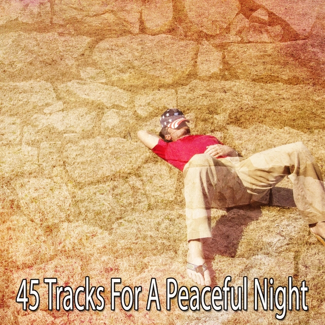 45 Tracks For A Peaceful Night