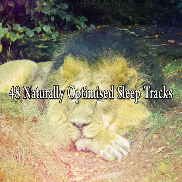 Couverture de 48 Naturally Optimised Sleep Tracks