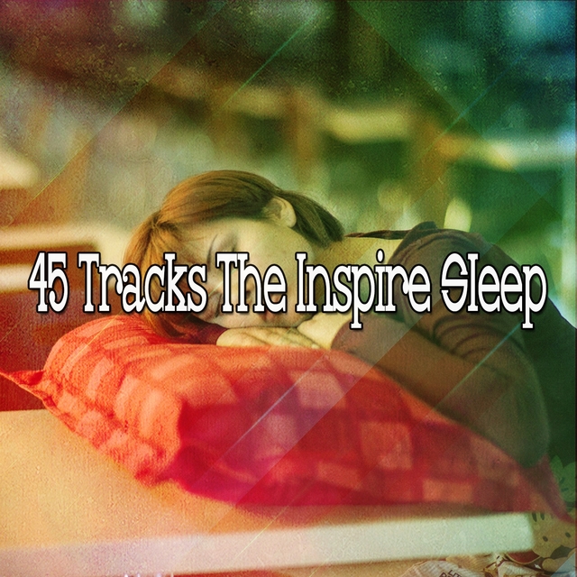 Couverture de 45 Tracks The Inspire Sleep