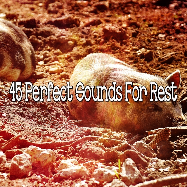 Couverture de 45 Perfect Sounds For Rest