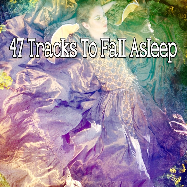 Couverture de 47 Tracks To Fall Asleep