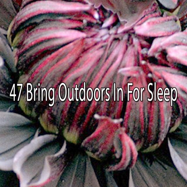 Couverture de 47 Bring Outdoors In For Sleep