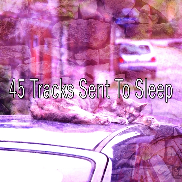 Couverture de 45 Tracks Sent To Sleep