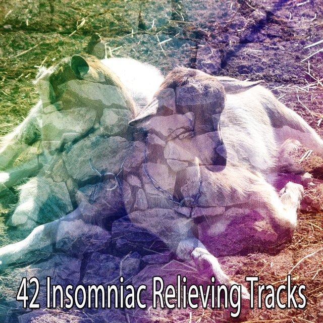 Couverture de 42 Insomniac Relieving Tracks