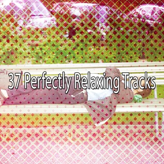 Couverture de 37 Perfectly Relaxing Tracks