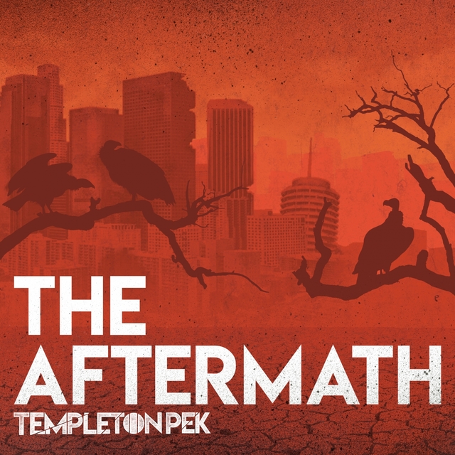 Couverture de The Aftermath 