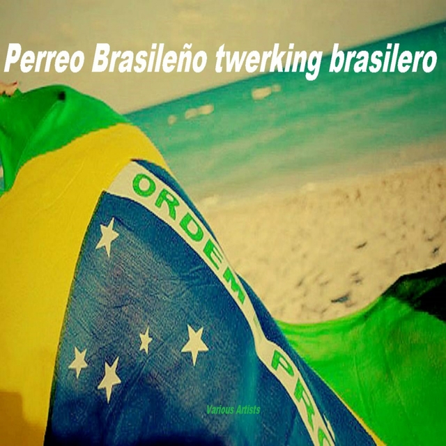 Couverture de Perreo Brasileño + Twerking Brasilero