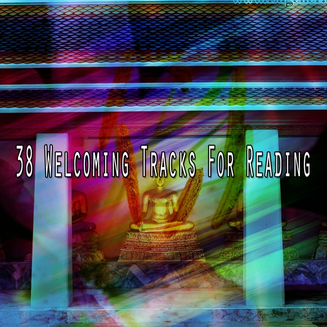 Couverture de 38 Welcoming Tracks For Reading